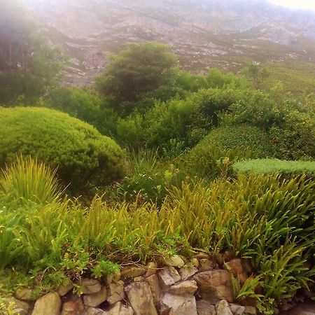Whale Coast Villa Hermanus Zewnętrze zdjęcie
