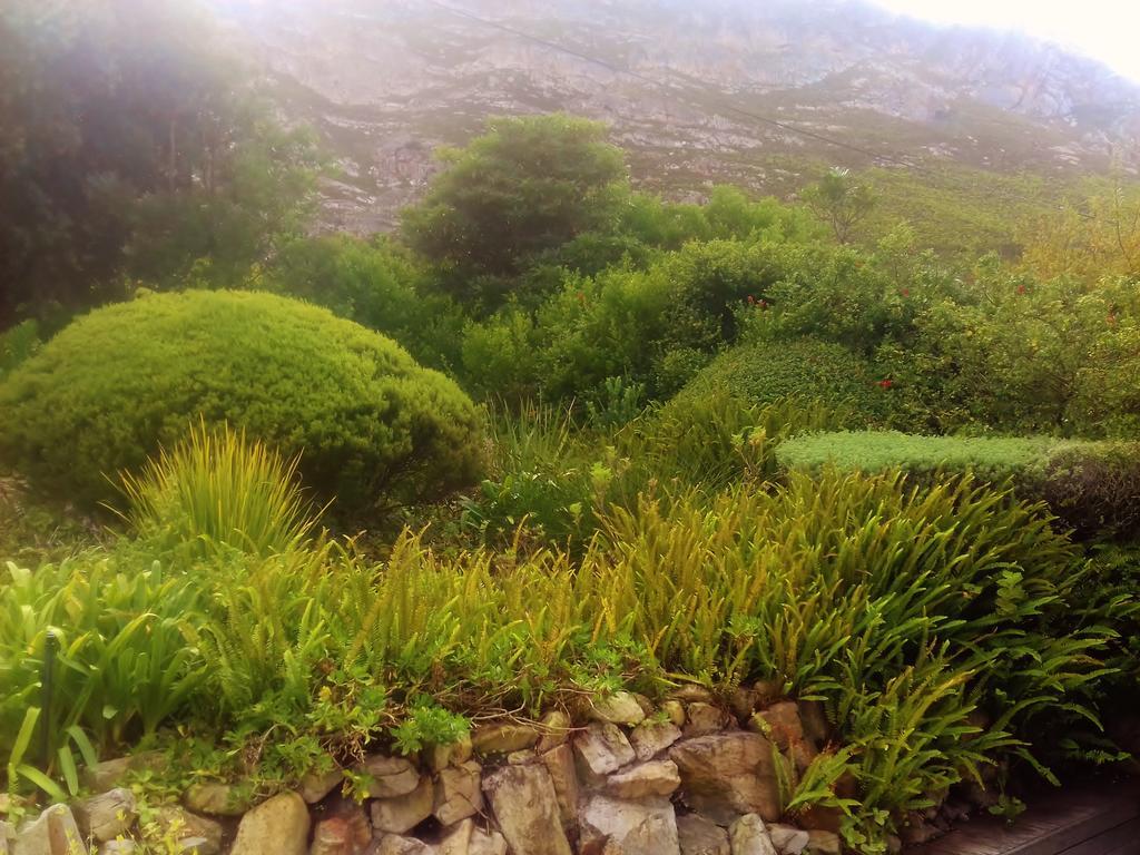 Whale Coast Villa Hermanus Zewnętrze zdjęcie